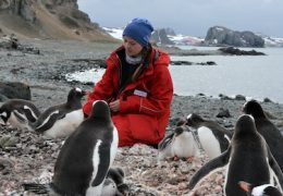 THE UNKNOWN LIFE OF ANTARCTICA – A YEAR AMID THE ETERNAL ICE