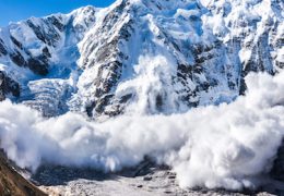 THE SCIENCE OF AVALANCHES