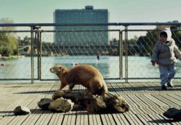 THE SECOND LIFE selected by Warsaw Film Festival