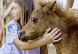 LAS HERMANAS DE ROCINANTE @ Odessa International Film Festival