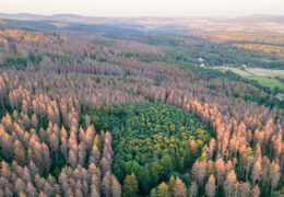 DROUGHT IN EUROPE