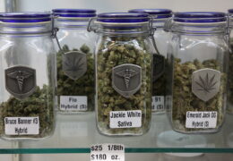 THE COLORADO GREEN RUSH – GET STONED, GET RICH